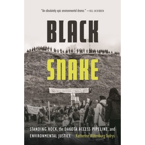 Black Snake: Standing Rock the Dakota Access Pipeline and Environmental Justice Paperback, Bison Books, English, 9781496222664