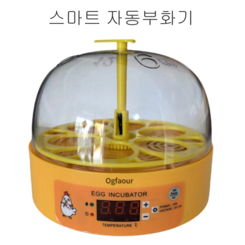 Ogfaour 2022년 계란부화기 자동 병아리 조류 6란