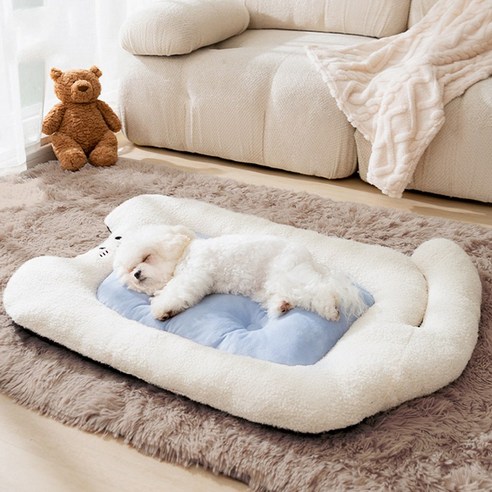 편리한 통세탁 방석, 반려동물의 건강과 안락을 지켜주는 선택