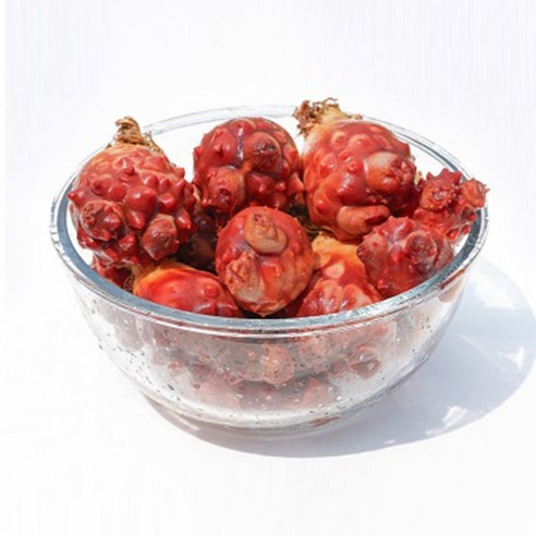 산지직송 활멍게 꽃멍게의 맛과 영양 가득 담은 4kg 대박