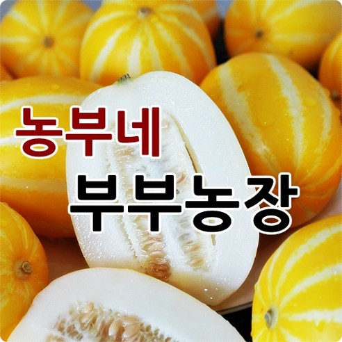 농부네 부부농장 성주참외 2kg 5kg 10kg 산지직송, 08.참외 5kg 가정용 대과(박스포함)