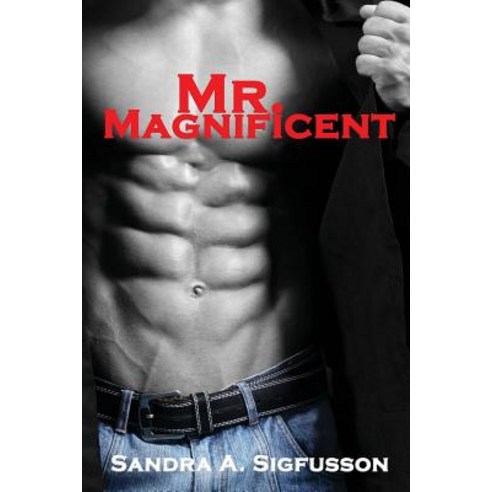 (영문도서) Mr. Magnificent Paperback, Sandra A. Sigfusson, English, 9781999004224
