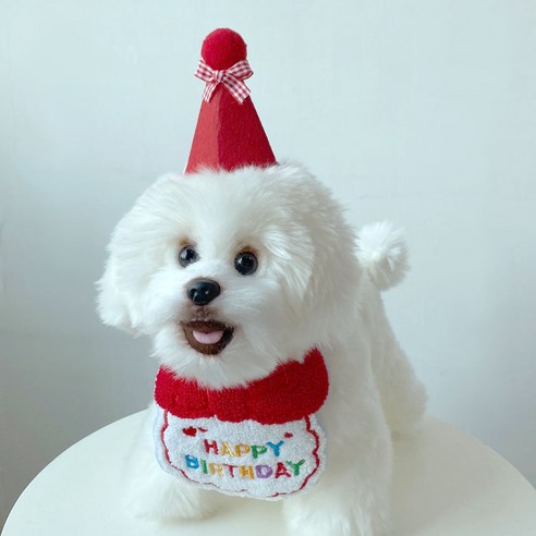 펫로디 강아지 고양이 생일 스카프+꼬깔 세트, 레드, 2세트