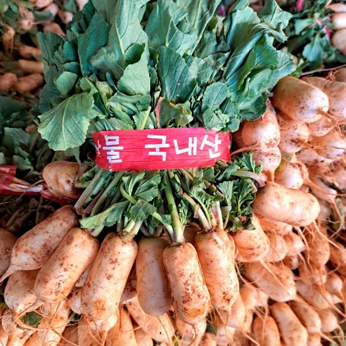 싱그러운 흙내음 가득한 빠리농산 알타리무로 식탁을 풍요롭게!