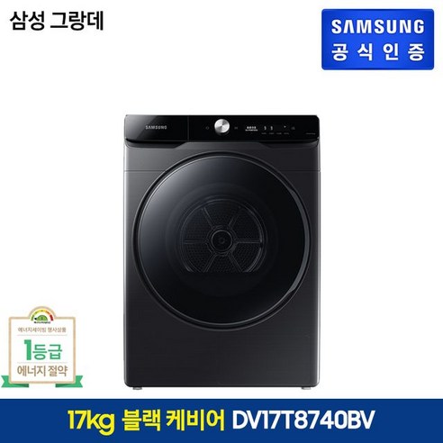 삼성전자 삼성 그랑데 건조기 AI 17kg(DV17T8740BV), 단일옵션