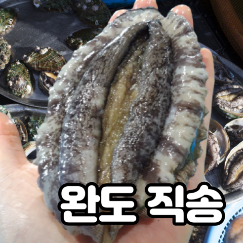 내고향농수산 완도 전복 활전복 설선물 선물세트 전복제철 특전복 찜 회 꼬마전복 완도특산물 남해전복 1kg 6미 8미 10미 20미 30미 40미 50미