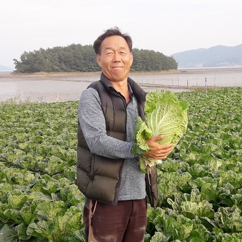 직거래농민장터 해풍맞아 더 맛있는 해남 절임배추 20kg 김장절임배추 절인배추, 원하는 도착일을 배송메세지에 남겨주세요