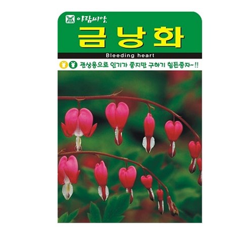 금낭화 씨앗 20립, 1개