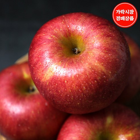 맛다름 거품비+유통마진 없는[가락시장 새벽 경매상품] [국산]사과 5kg내외(20~22입내), 1개