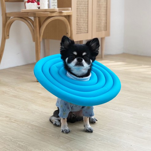 유앤펫 강아지 고양이 UFO 초경량 넥카라(시즌3)은 경량하고 편안한 착용감을 제공하는 제품입니다.