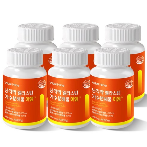 바이탈나인 난각막 엘라스틴 가수분해물 이엠 600mg, 6개, 60정