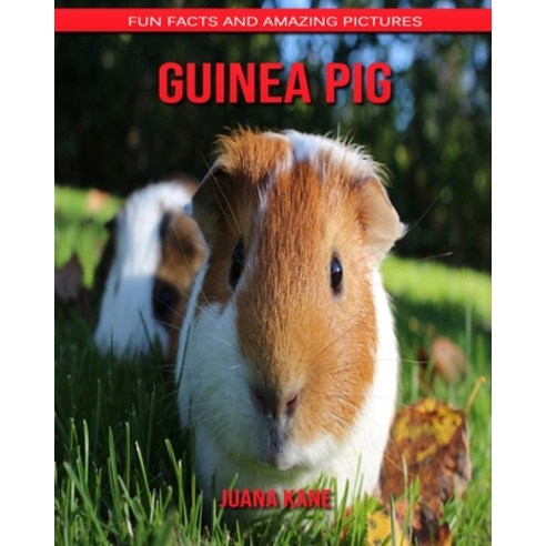 Guinea Pig: Fun Facts and Amazing Pictures Paperback, Independently Published