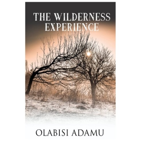 The Wilderness Experience Paperback, Independently Published
