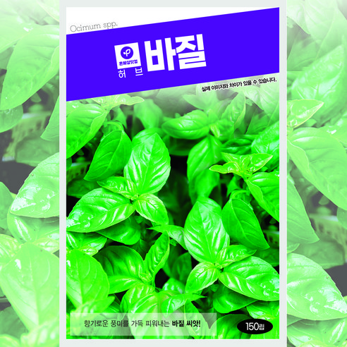 바질 허브 씨앗 150알/ 허브씨앗 바질 씨앗 바질씨 허브씨 바질키우기, 2개