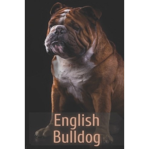(영문도서) The Complete Guide to English Bulldog Paperback, Independently Published, 9798518690745