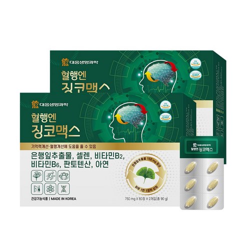 대웅생명과학 혈행엔 징코맥스, 120정, 2개