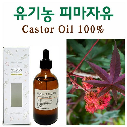 허브인 유기농(Organic)피마자오일 + 브러쉬증정, 유기농100ml, 1개
