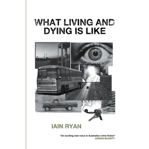 (영문도서) What Living And Dying Is Like Paperback, Iain Ryan, English, 9798215104453