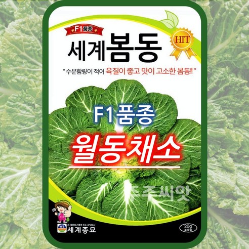 무모종 세계 봄동 20g / 월동 배추 가을 채소 종자 씨앗, 1개 Best Top5