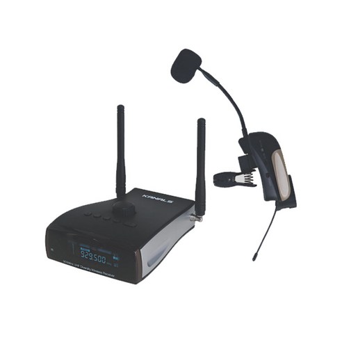 자유로운 무대, 압도적인 사운드