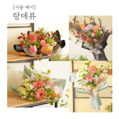 우아함과 실용성을 겸비한 물빠짐없는 랑데뷰 롤페이퍼 롤