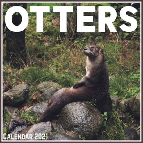 Otters Calendar 2021: Official Otters Calendar 2021 12 Months Paperback, Independently Published, English, 9798704607106