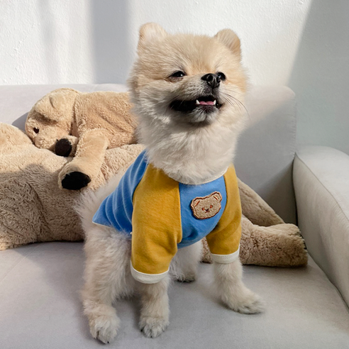 애견을 위한 귀여움과 편안함을 한데 모은 데댕 감성 배색 곰돌이 강아지 사계절 티셔츠