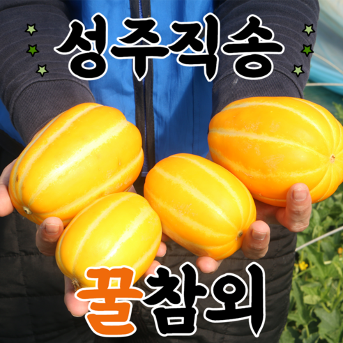 성주 참외 산지직송 꿀참외 2kg 3kg 5kg 10kg, 성주 꿀 참외 5kg