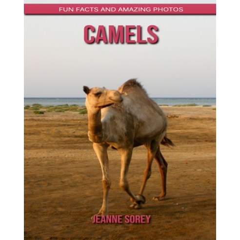 Camels: Fun Facts and Amazing Photos Paperback, Independently Published