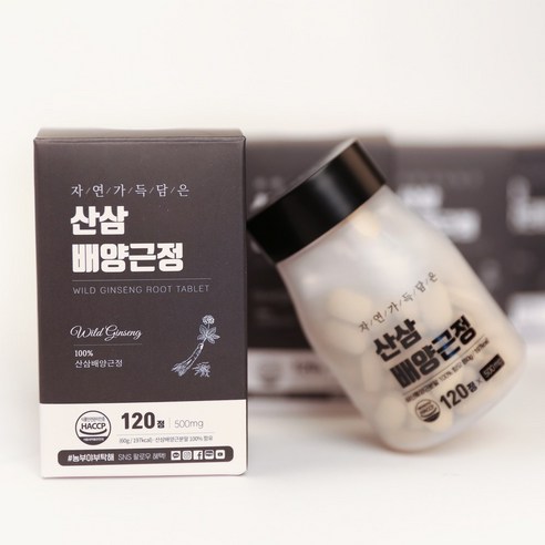 산삼 배양근정 환 500mg X 120정, 60g, 1개, 상세페이지 참조, 상세페이지 참조