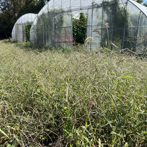 해남에서 온 고소한 맛, 건조한 식감의 풍부함을 만끽해보세요