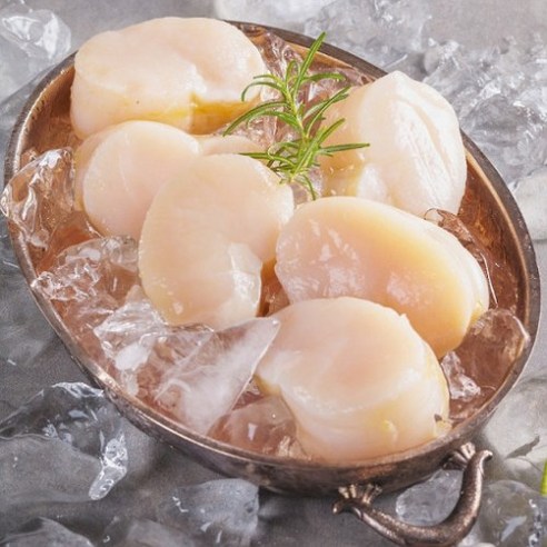 오씨네수산 장흥 키조개 생물 통관자 1kg (500gx2개) 손질 발송 국내산 - 조개관자 | 쿠팡