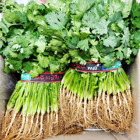 고수 150g 상품에 대한 가격, 배송료, 평가수, 평점, 중량, 수량, 품목, 생산자, 원산지, 보관방법, 취급방법 정보가 포함되어 있습니다.