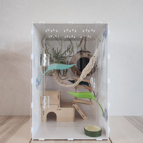 렙티언즈 초대형 크레스티드 게코 사육장 303045 리뷰 도마뱀사육장