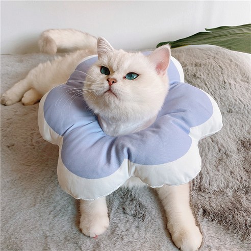 힐링타임 키티요요 넥카라 방수 강아지/고양이 넥카라 애견 깔때기 중성화 수술후 상처보호 목쿠션, M, 옐로우