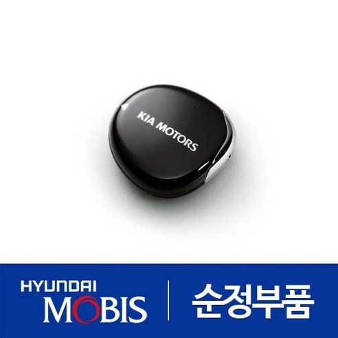 레이 조약돌 스마트키 95440A3500