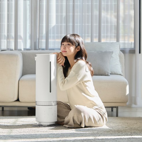 건조한 겨울, 촉촉하고 건강한 실내 환경을 위한 최고의 선택