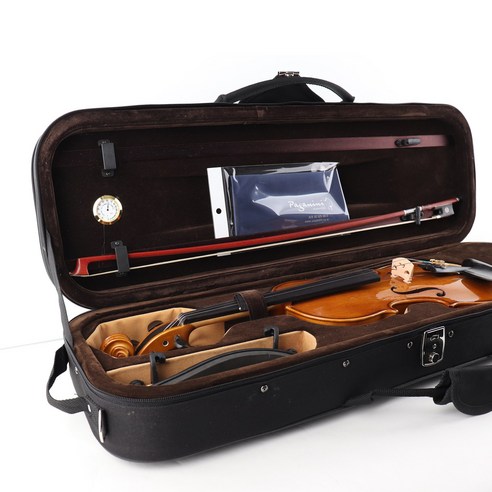 섬세한 울림으로 시작하는 음악 여정, 파가니니 PVS-101 바이올린