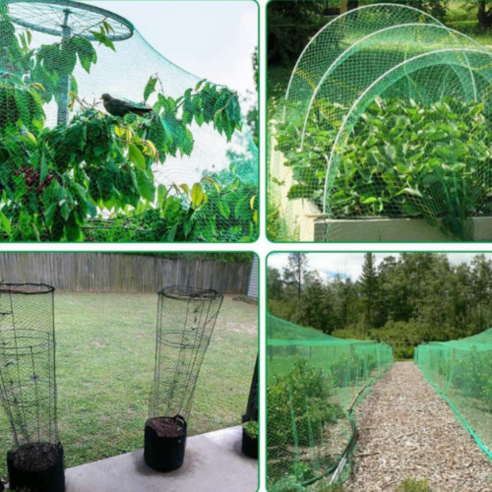 탐스러운 결실을 지키는 든든한 보호막, 아바노 새그물망