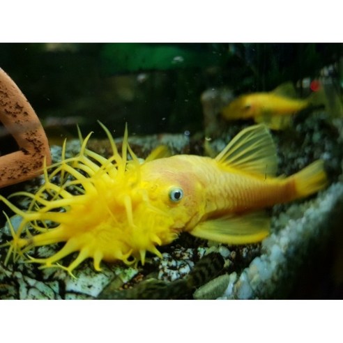 청소의 질을 높여주는 완벽한 도구