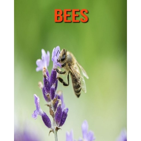 Bees: Incredible Pictures and Fun Facts about Bees Paperback, Independently Published, English, 9798693977914