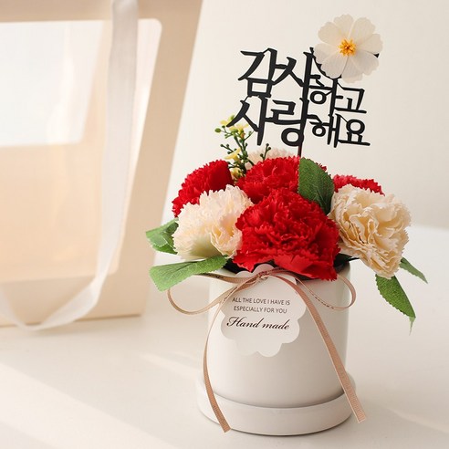 고품질 메르시 비누꽃 카네이션 화분 세트로 어버이날에 부모님을 감동하세요.