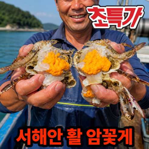 [초특가] 서해안 활 암꽃게 봄꽃게 알배기, 1박스, 3kg
