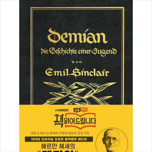 슬립스토아 데미안 호텔식 멀티수납 침대 독립40T SSQK, 그레이 9 데미안(리커버 한정판) + 미니수첩 증정, 미르북컴퍼니(미르북스), 헤르만 헤세