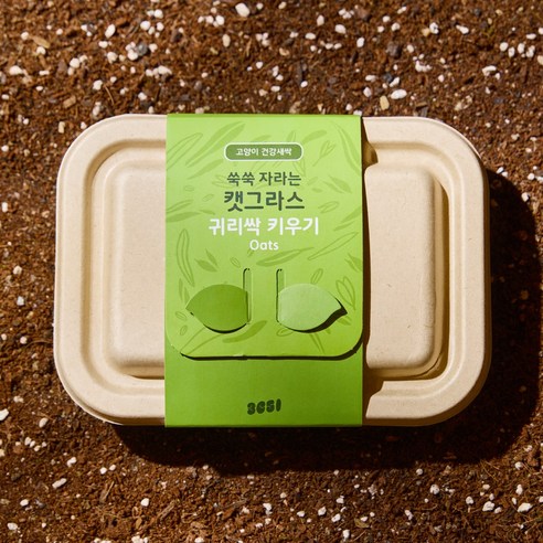 3651 쑥쑥 자라는 캣그라스 키우기 재배세트, 1개, 160g, 귀리싹