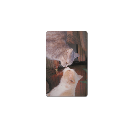 아르토르 Lovely friends 디자인 카드 스킨 리무버블 스티커, NONE 칩 없음