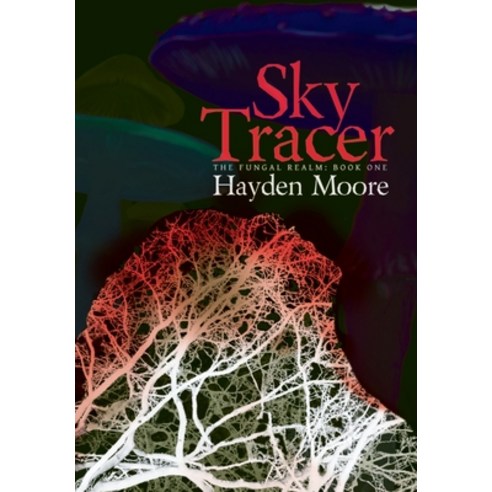 (영문도서) Sky Tracer Hardcover, Vraeyda Literary, English, 9781988034270