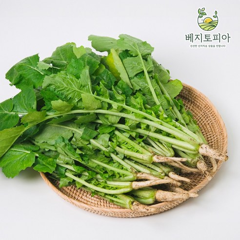 국산 베지토피아 산지직송 어린 열무 4KG, 1개