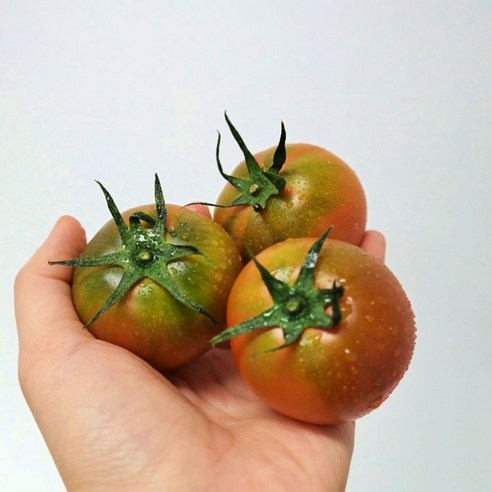 산지직송 부산 특산물 대저토마토 짭짤이토마토, 짭짤이 / 1kg / 2S-3S, 1개