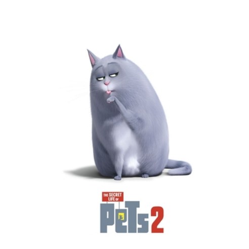 The Secret Life Of Pets 2: Screenplay Paperback, Independently Published